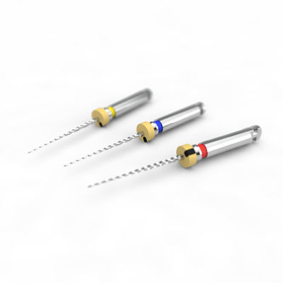 kupować Endo 300 obr./min 19 mm pilniki Niti poddane obróbce cieplnej do leczenia kanałowego online manufacture