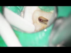 Wiertła dentystyczne RA Wiertła z węglika wolframu Stomatologiczne zastosowanie przy niskiej prędkości